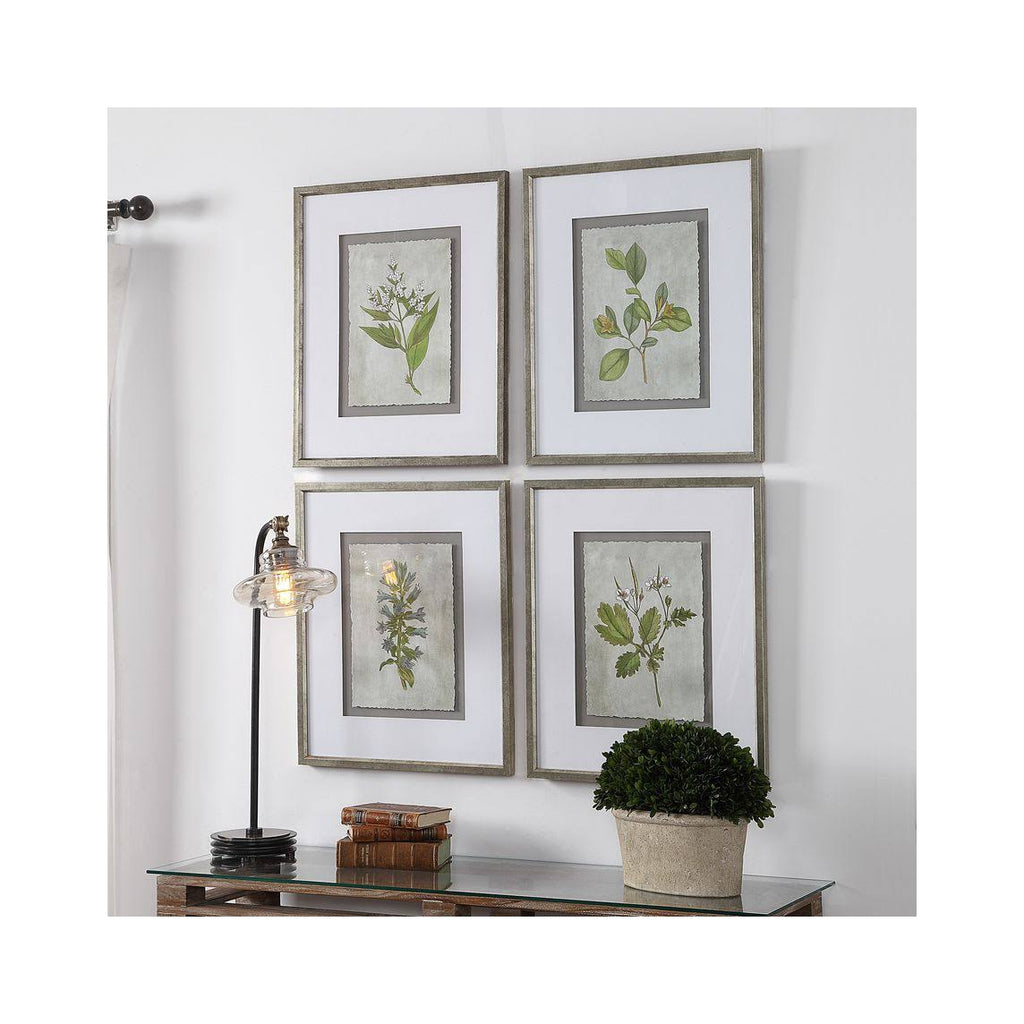 Stem Study Framed Prints Set/4 R38731