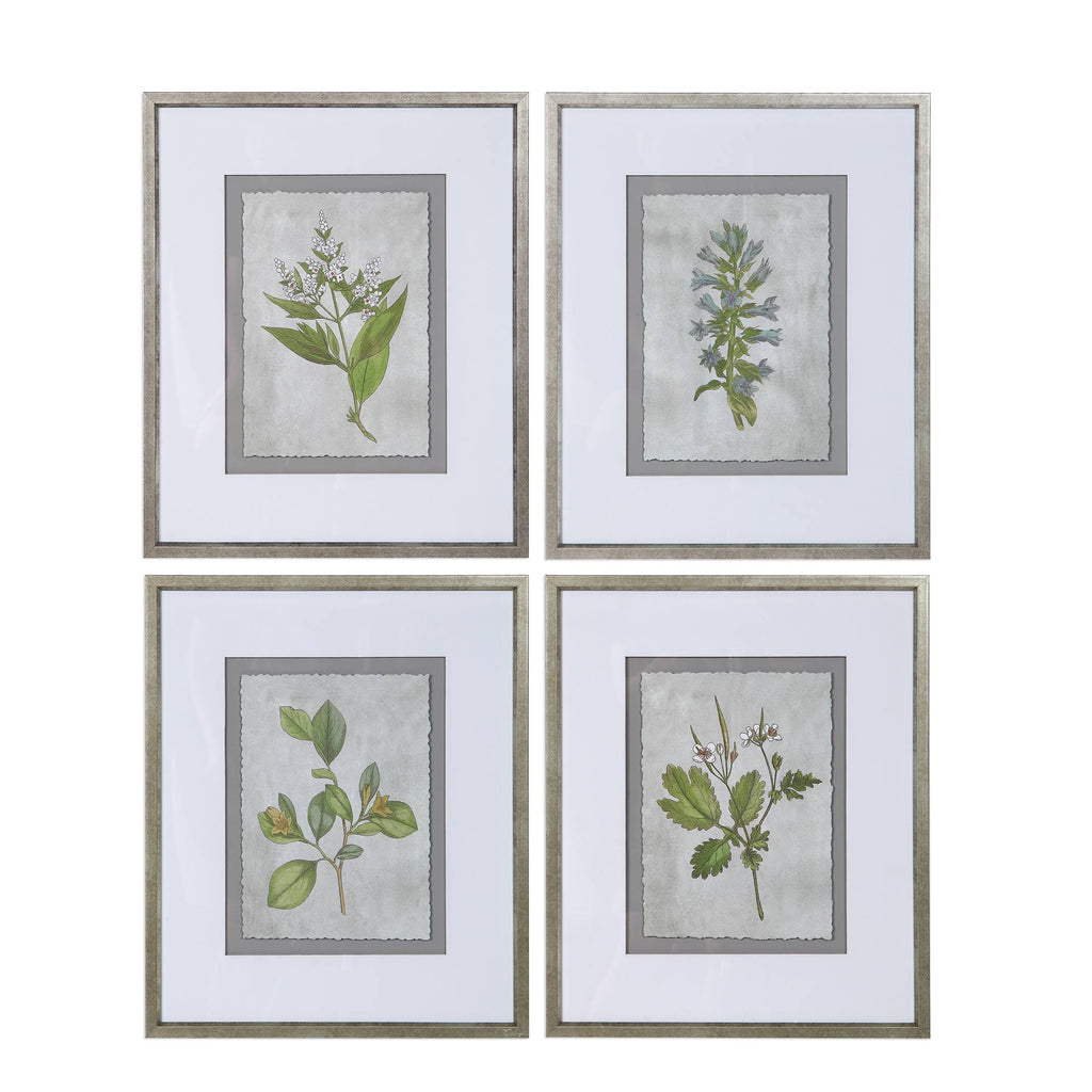 Stem Study Framed Prints Set/4 R38731