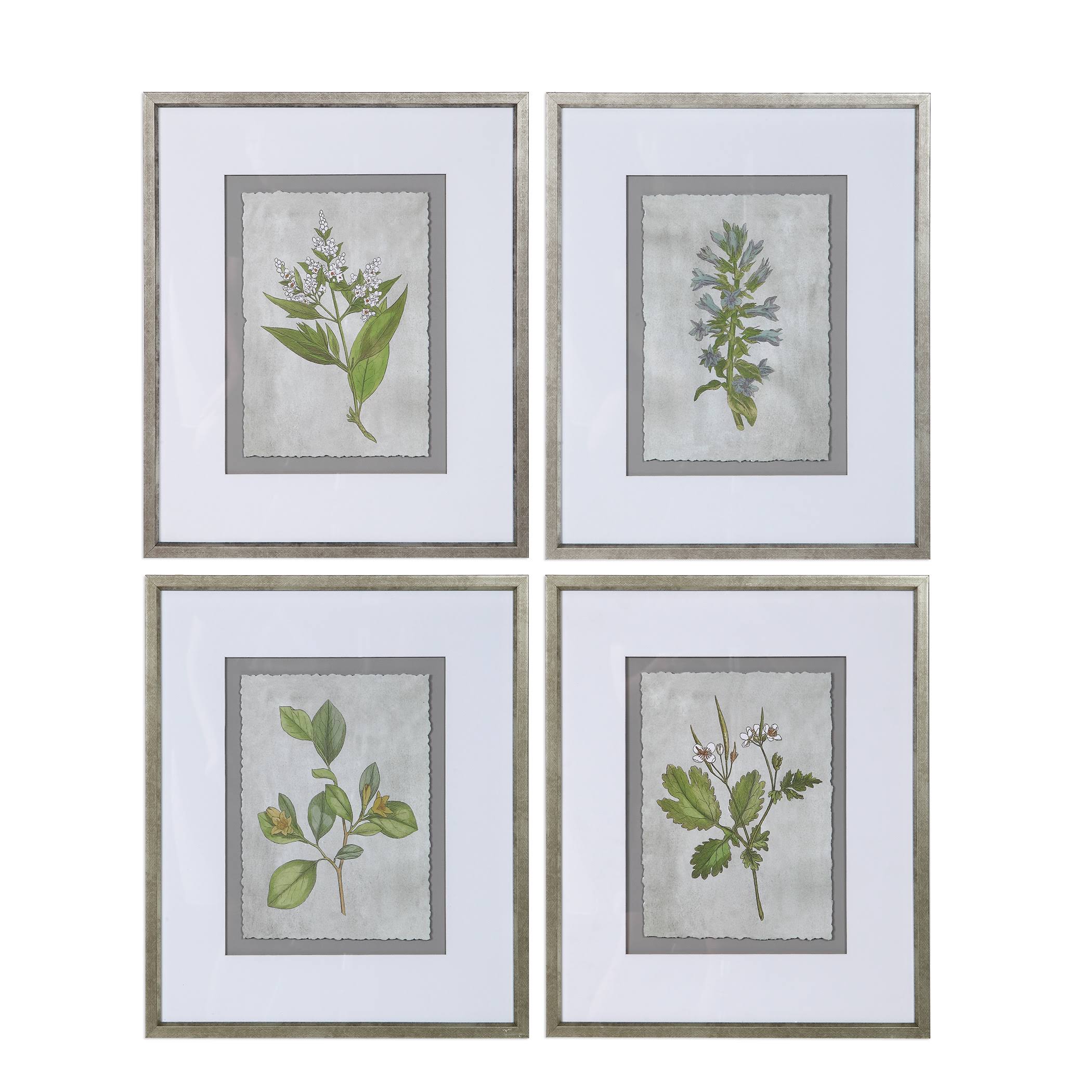 Stem Study Framed Prints Set/4 R38731
