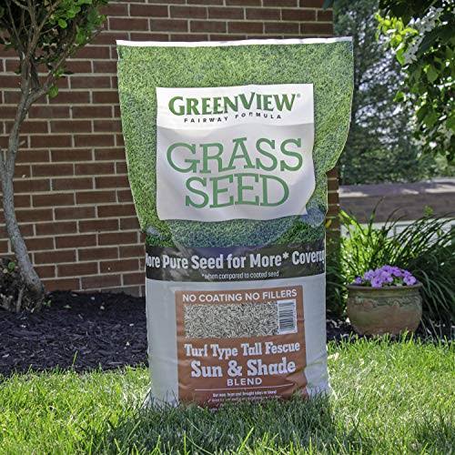 20 lb Turf Type Tall Fescue Grass Seed O774631
