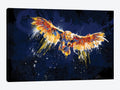 Night Owl Canvas Wall Decor Prints K8381
