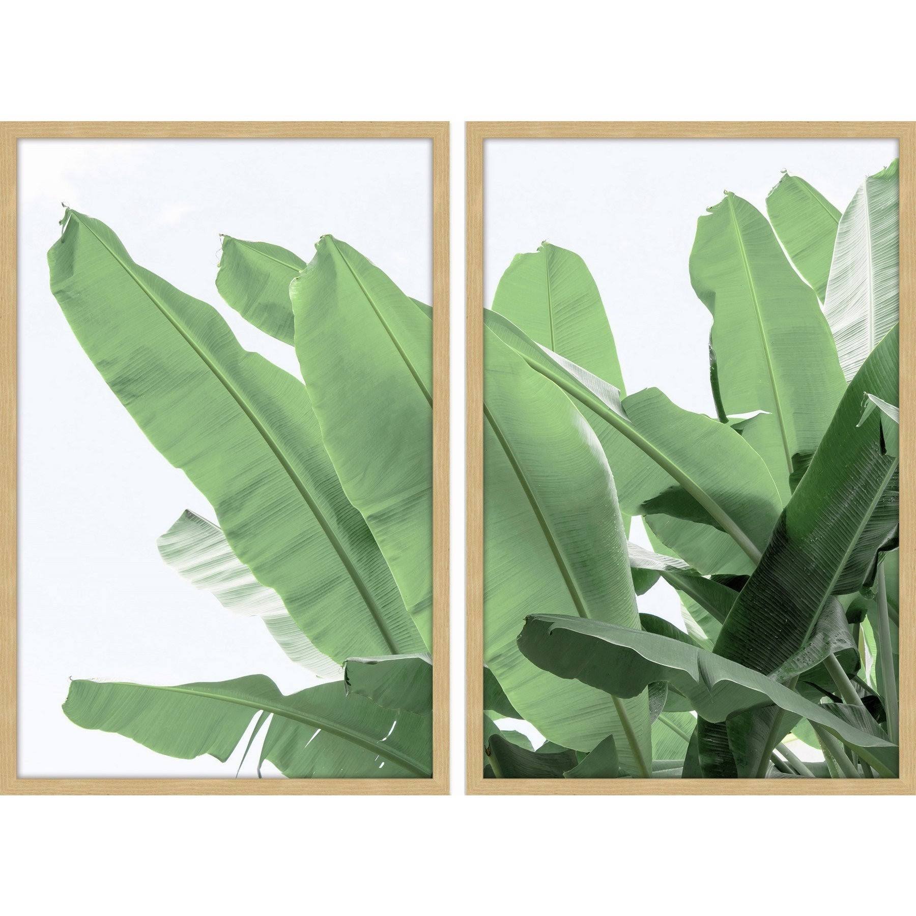 36 inch x 48 inch Diptych L4055