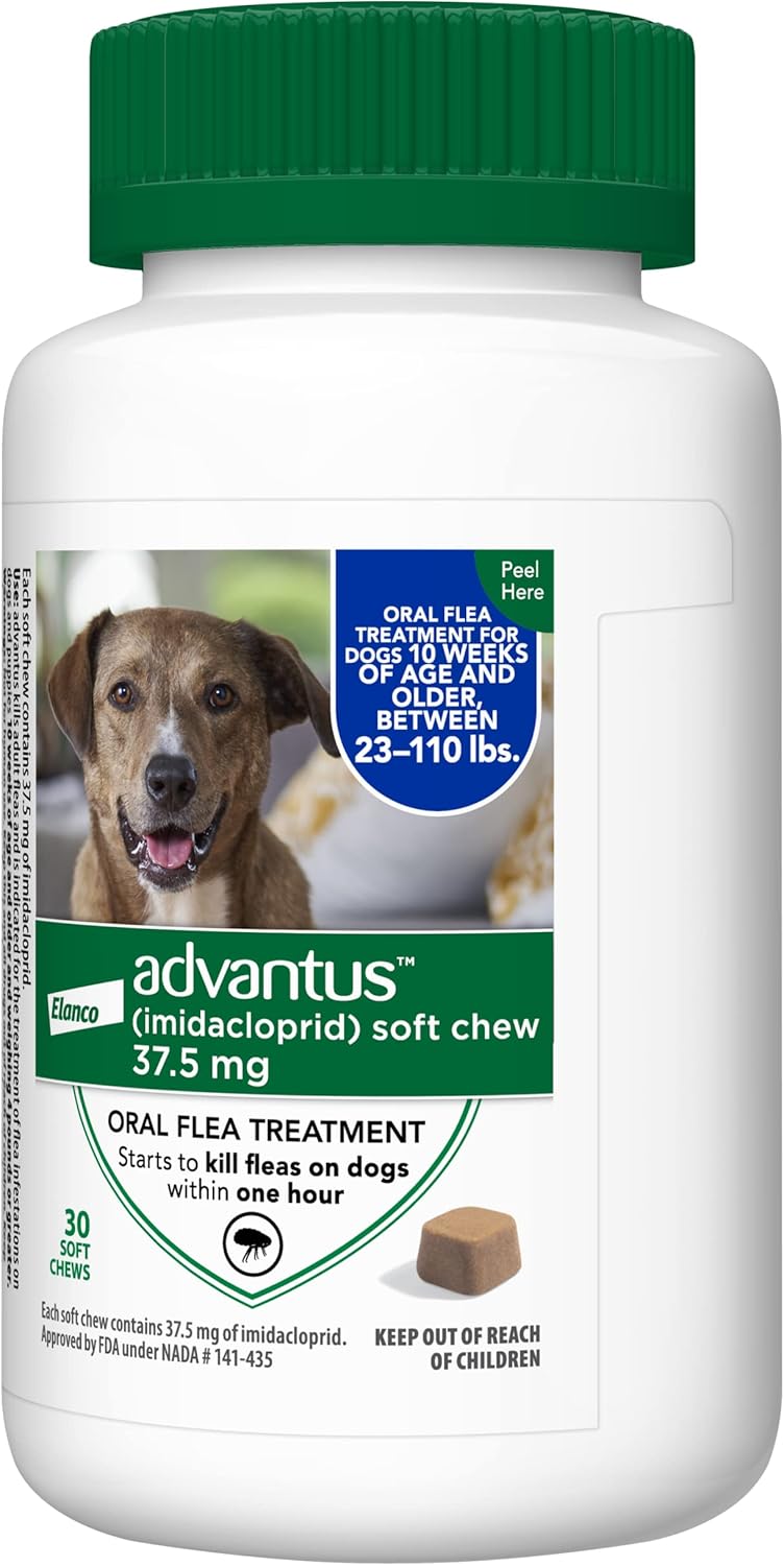 Chewable Flea Treatment for Large Dogs, 23-110 Pounds, Pack of 2 G888