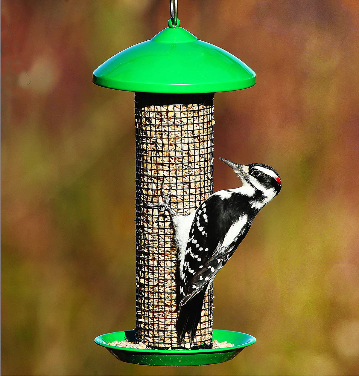 1 qt Plastic Tube Seed Feeder X606