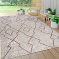 Beige/Brown 5 ft. x 8 ft. Indoor/Outdoor Area Rug O2903